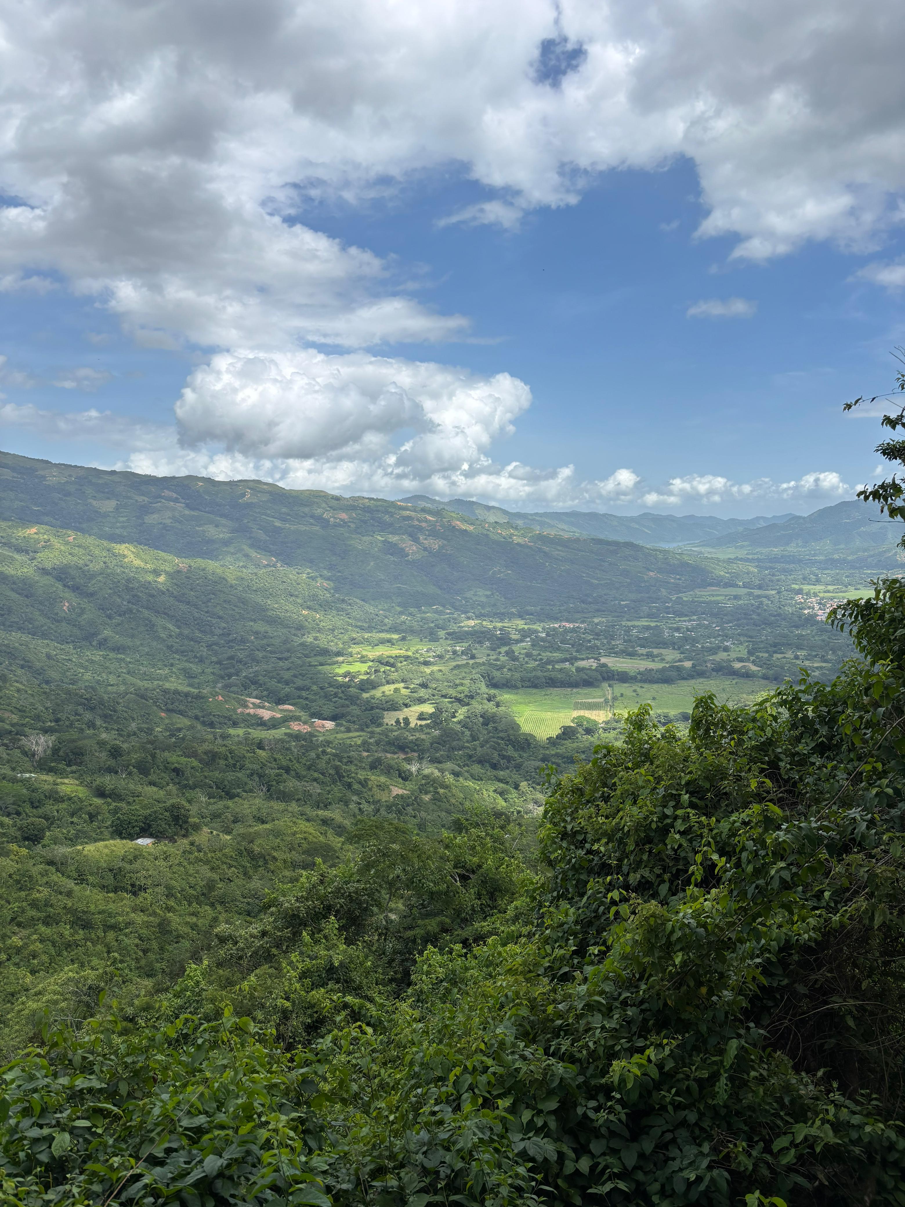 Proyecto de conservación